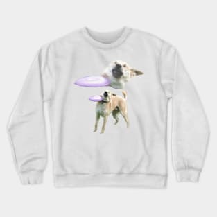 Frisbee Dog 1 Crewneck Sweatshirt